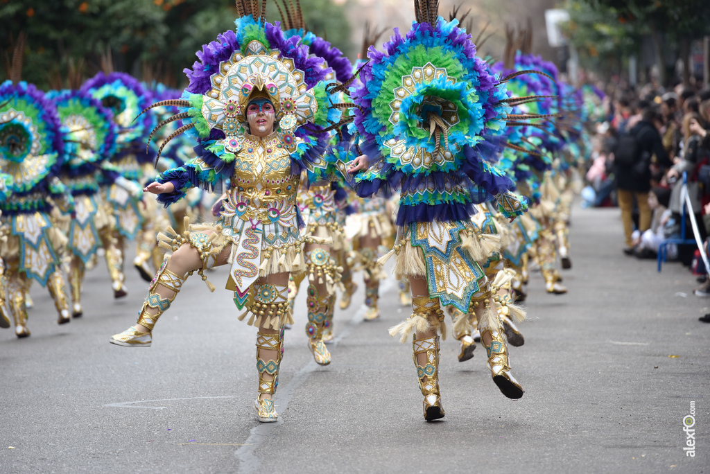 Comparsa Caretos Salvavidas - Desfile de Comparsas Carnaval de Badajoz 2018