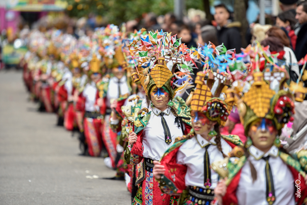 Comparsa Donde vamos la liamos - Desfile de Comparsas Carnaval de Badajoz 2018