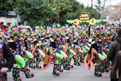 Comparsa yuyubas desfile de comparsas carnaval de badajoz 2018 12 dam preview