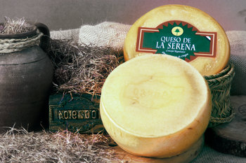 Denominacion de origen protegida queso de la serena 503 normal 3 2