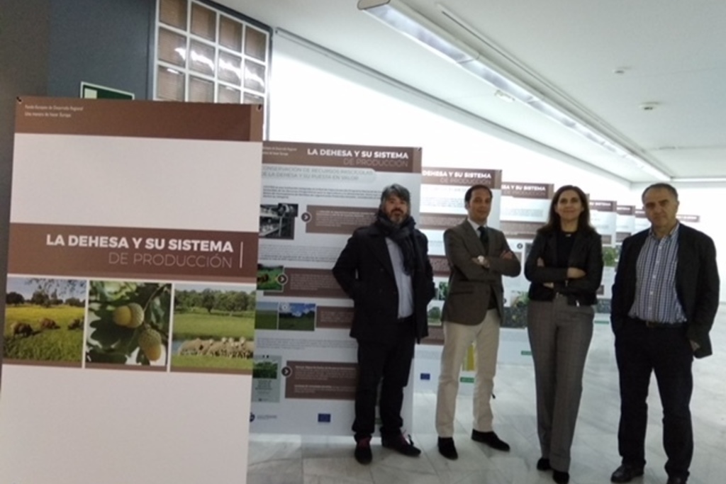 Una exposición muestra en Badajoz los proyectos de investigación del CICYTEX financiados con Fondos Europeos de Desarrollo Regional