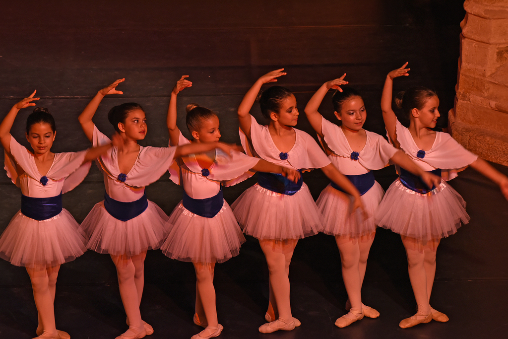 La Diputación cacereña reduce las tasas de sus escuelas de bellas artes y conservatorios de danza y música