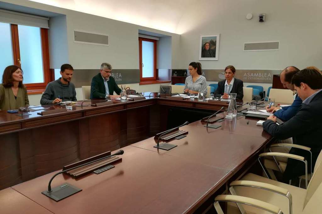 Extremadura reclamará que el Sistema de Financiación Autonómica financie todos los servicios que la Junta presta a los ciudadanos