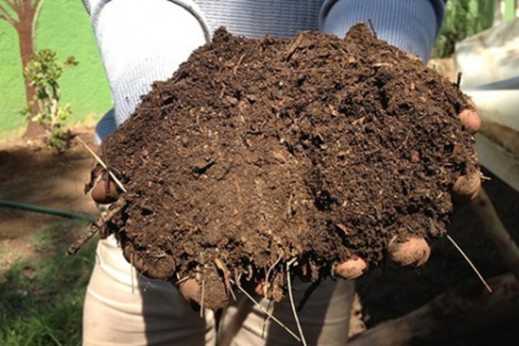CICYTEX organiza una jornada informativa sobre compostaje y fertilización orgánica del suelo