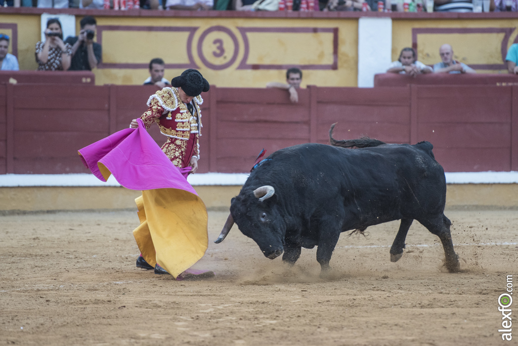 El nuevo protocolo taurino contemplará un incremento de los festejos del Circuito de Novilladas de Extremadura