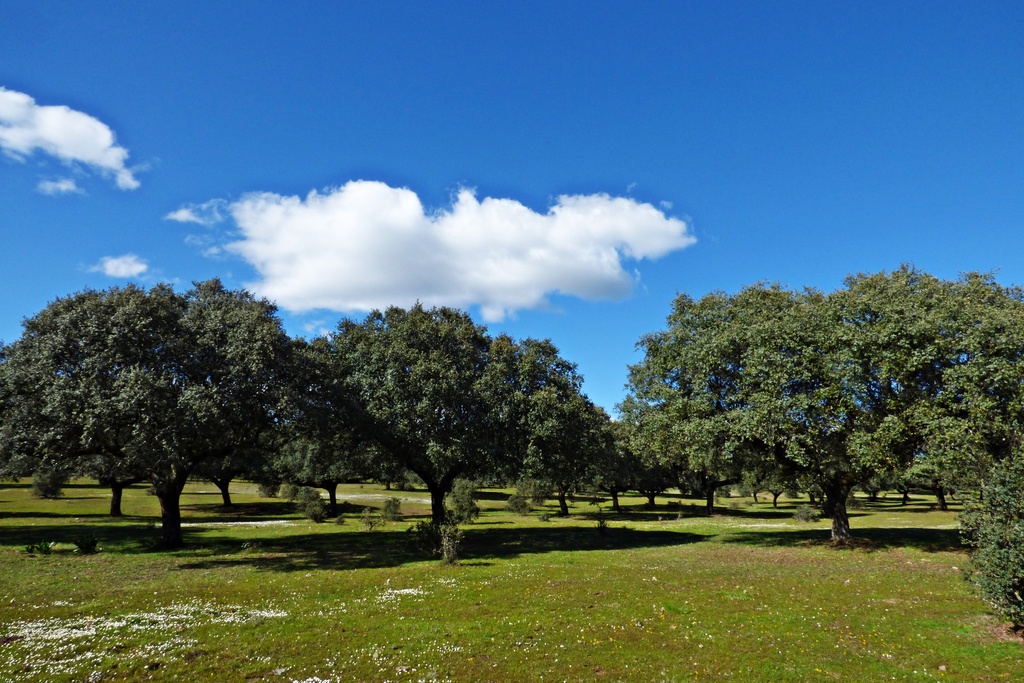 Nace la asociación Área Natural Extremadura en Montehermoso