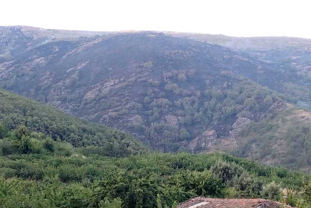 La Junta de Extremadura declara zona de actuación urgente los terrenos forestales afectados por el incendio de Jerte y La Vera