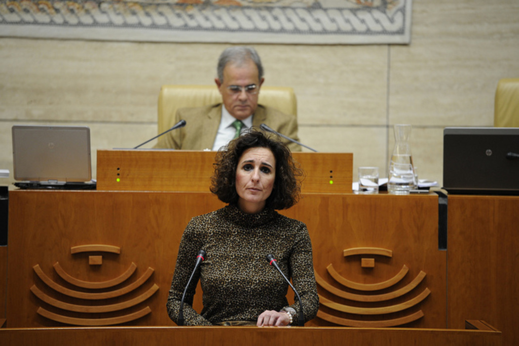 La Asamblea de Extremadura convalida por unanimidad el Decreto-Ley de protección de la calidad del suministro eléctrico