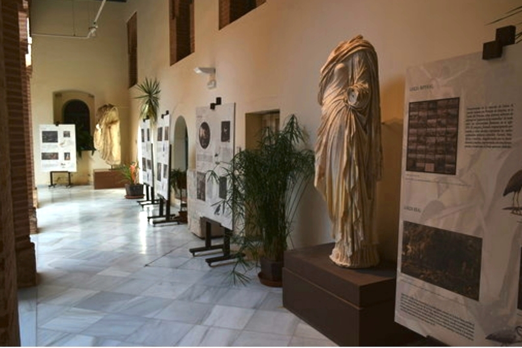 El Museo Arqueológico de Badajoz expone la muestra 'La naturaleza en transición'