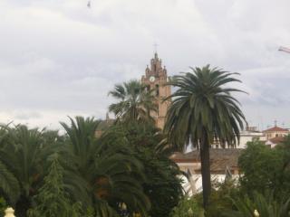 La Torre de Los Almendros -  Almendralejo