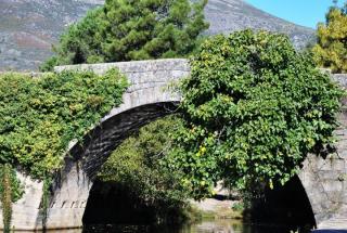 El puente de Carrecia y la higuera ( Acebo )