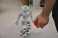 ROBÓTICA . Ciencia y tecnología : Investigadores valencianos desarrollan robots para la comunicación social en niños autistas
 : El periódico de aquí