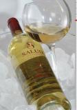 Salud Shardonnay - Joven 2006