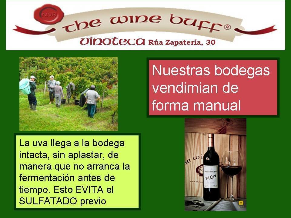 Web fotos del muro de the wine buff vendimia manual