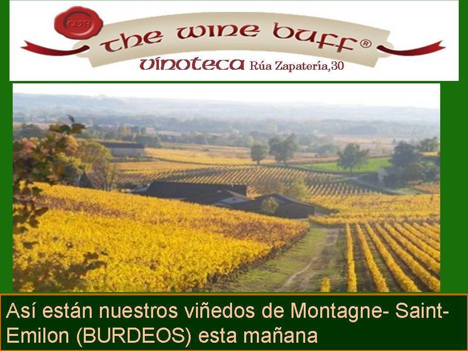 Web fotos del muro de the wine buff vinedo otono
