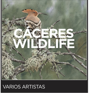 Exposición "Wildlife" Cáceres