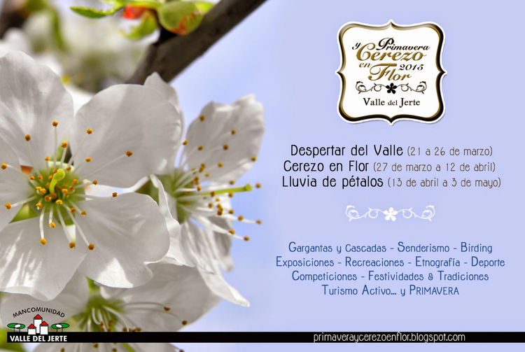 Primavera y cerezo en flor 2015 - Valle del Jerte