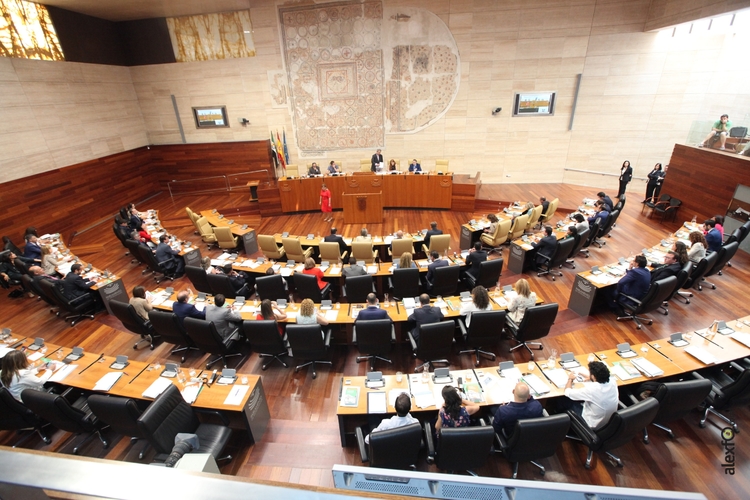 Constitución IX Legislatura de la Asamblea de Extremadura ( 2015-2019)