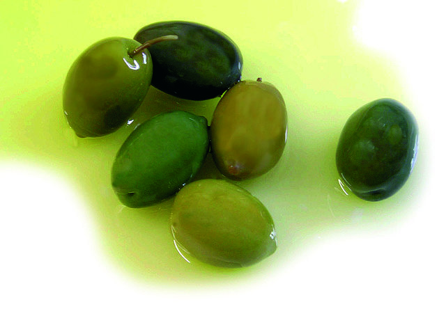 Normal demostracion experiencia slow food shui re los olivos milenarios caceres