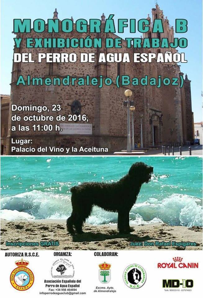 Monográfica y exhibición de trabajo del perro de agua español