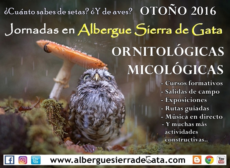 Jornadas Ornitológicas en elotoño.es Sierra de Gata