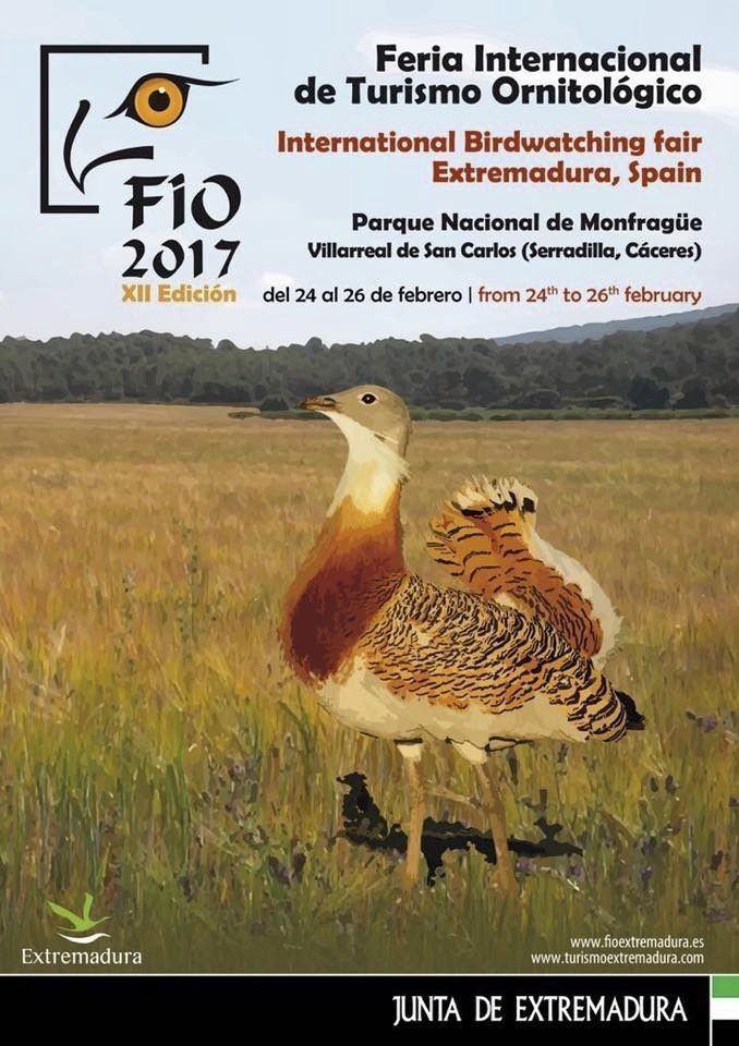 Normal fio 2017 feria internacional de turismo ornitologico ornitologia
