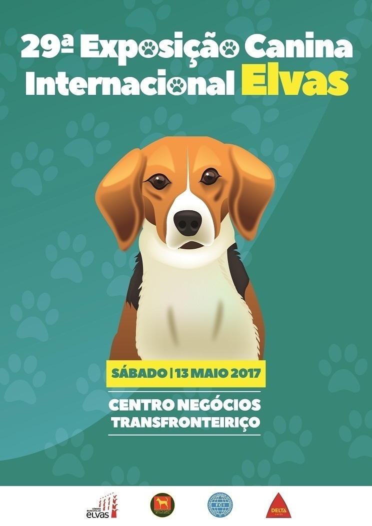 Normal 29 exposicion canina internacional de elvas