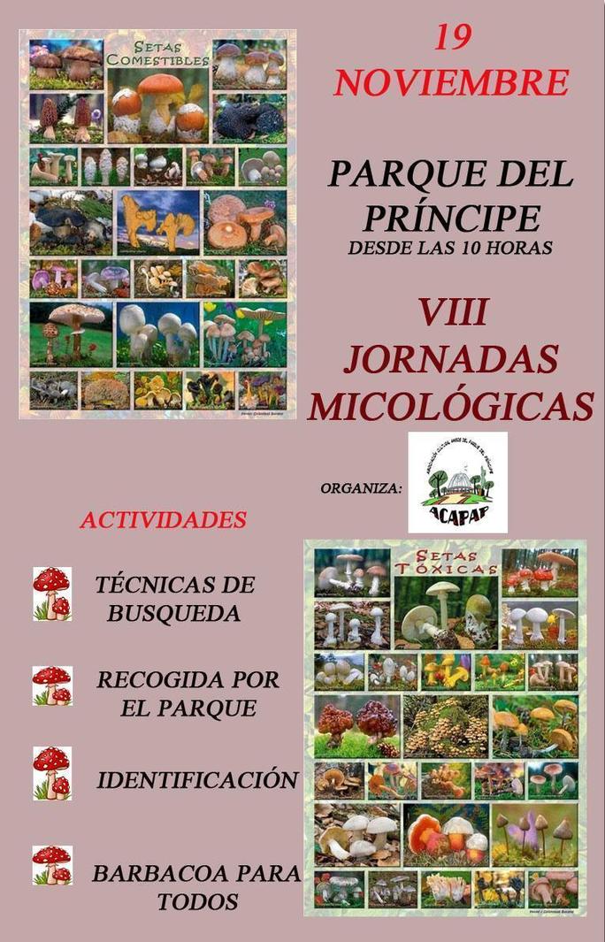 VIII Jornadas Micológicas Parque del Príncipe - Cáceres