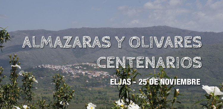 Jornada "Almazaras y olivares centenarios" - Eljas