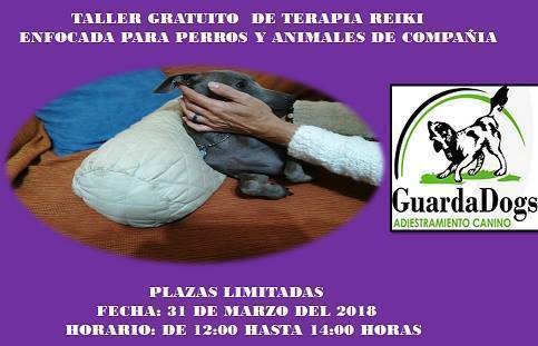 Normal taller gratuito terapia reiki para perros y otros animales 13