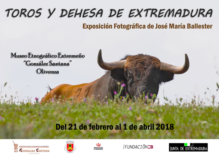 Exposición ''Toros y Dehesa de Extremadura''
