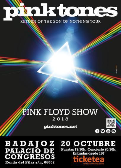 Normal concierto pink tones a pink floy show badajoz 69