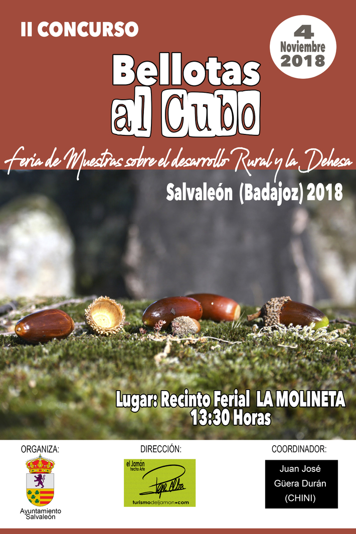 04-11-2018 Bellotas al cubo - Salvaleón (Badajoz)