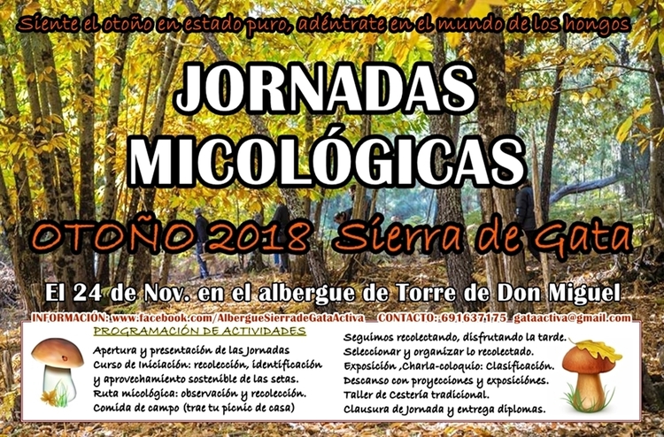 Jornadas Micológicas 2018 SIERRA DE GATA