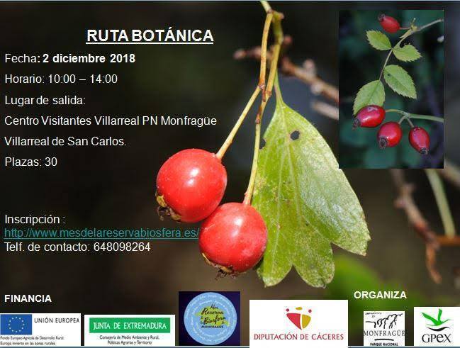 Ruta senderista botánica en Monfragüe