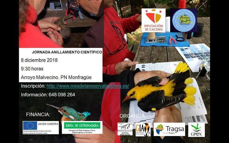 Ornitólogo por un día: taller de anillamiento científico en Monfragüe