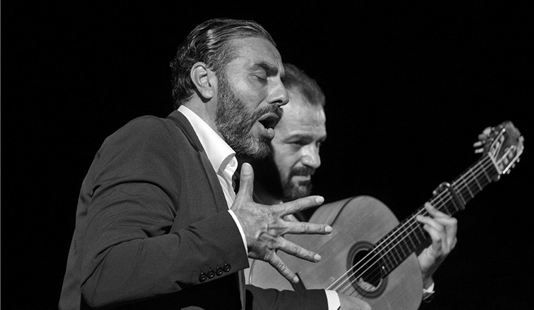Normal xlviii festival flamenco ciudad de badajoz badajoz 61