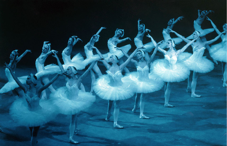 Normal el lago de los cisnes ballet nacional ruso sergei radchenko 13