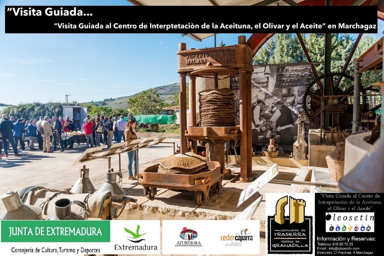 Visita Guiada Gratuita al Centro de Interpretación de la Aceituna, el Olivar y el Aceite de la familia Oleosetin