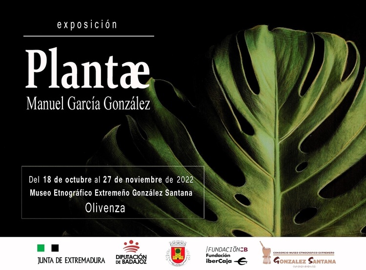 Exposición 'Plantae' de Manuel García González