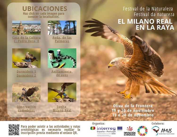 Festival de la Naturaleza El Milano Real en la Raya - Oliva de la Frontera