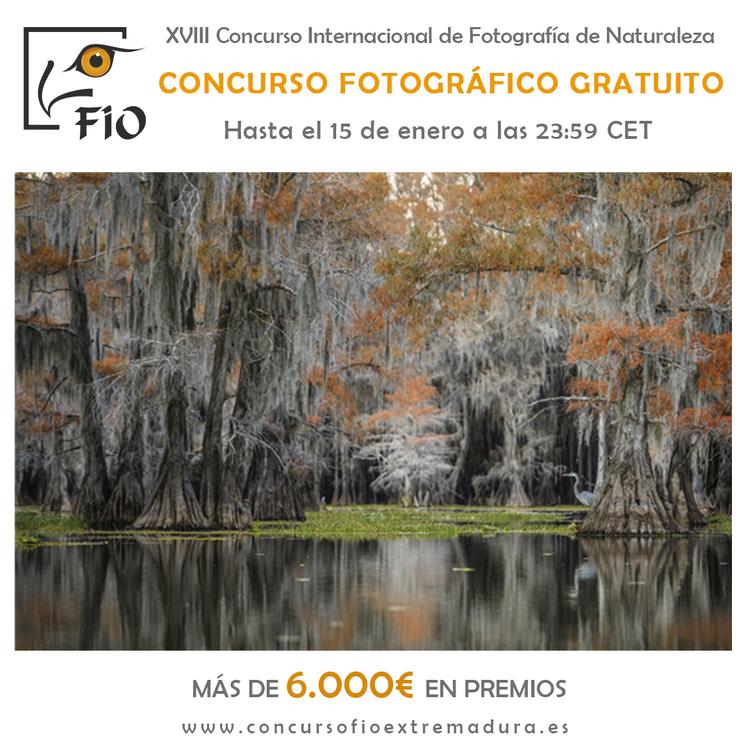 Concurso Fotográfico de Naturaleza "Las Aves Silvestres" - FIO 2023