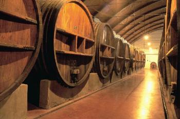 Museo de las Ciencias del Vino en Almendralejo