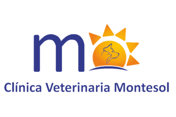 Clínica Veterinaria Montesol Cáceres