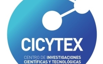 Normal cicytex
