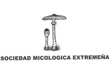 Normal sociedad micologica extremena
