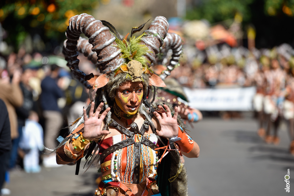 Comparsa Shantala - Desfile de Comparsas Carnaval de Badajoz 2019 9
