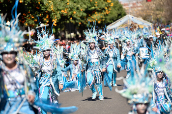 Comparsa la movida desfile de comparsas carnaval de badajoz 2019 5 normal 3 2