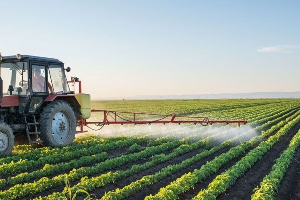 Publicada la convocatoria de ayudas a la creación de empresas para jóvenes agricultores en 2019