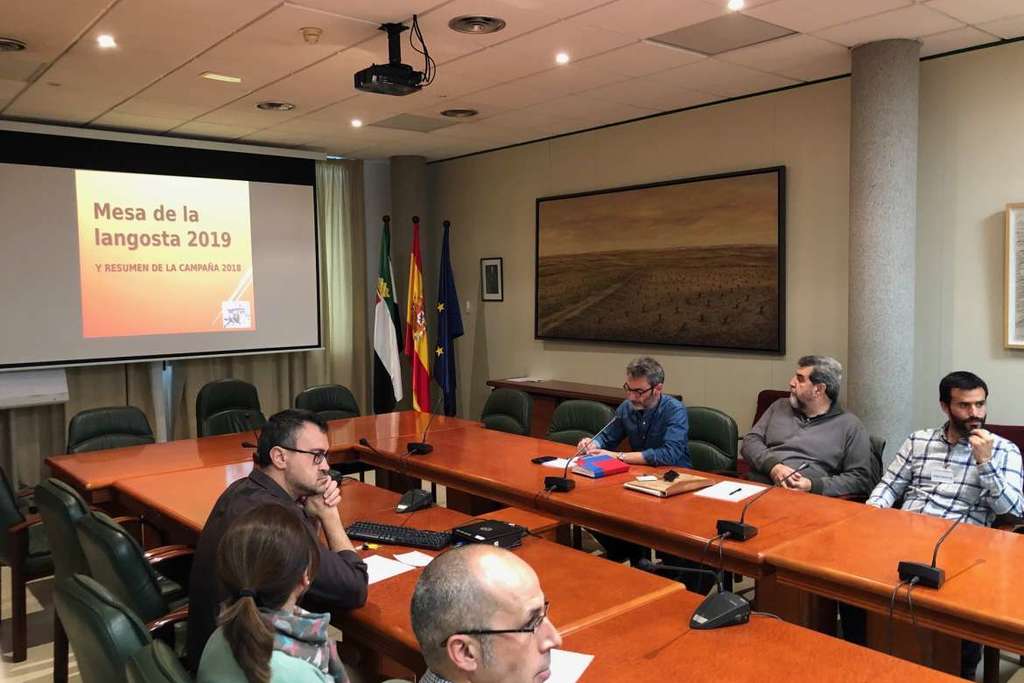 Arranca la campaña oficial contra la langosta mediterránea en Extremadura